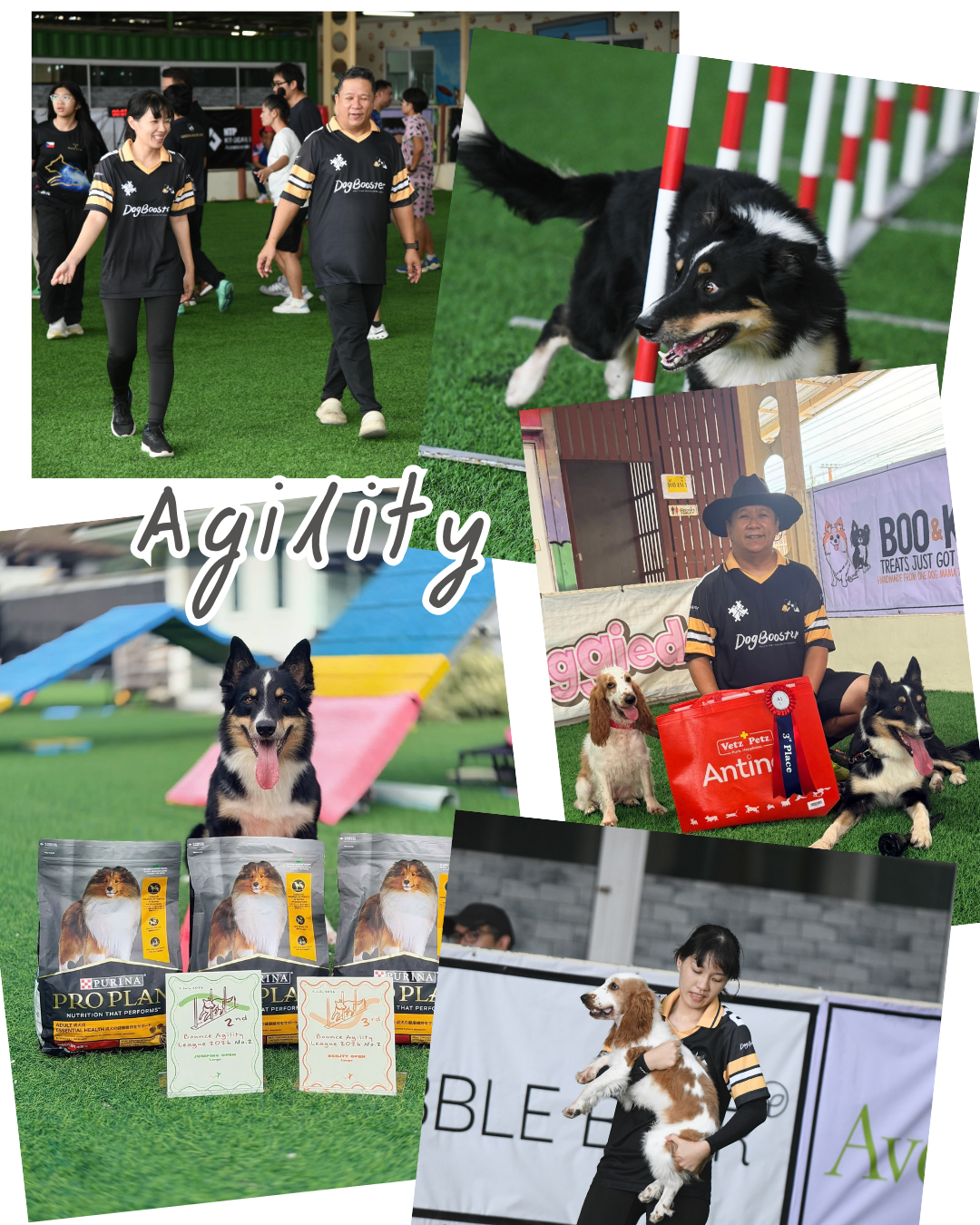ผลงาน DogBooster