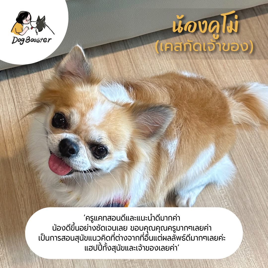 รีวิวนักเรียน