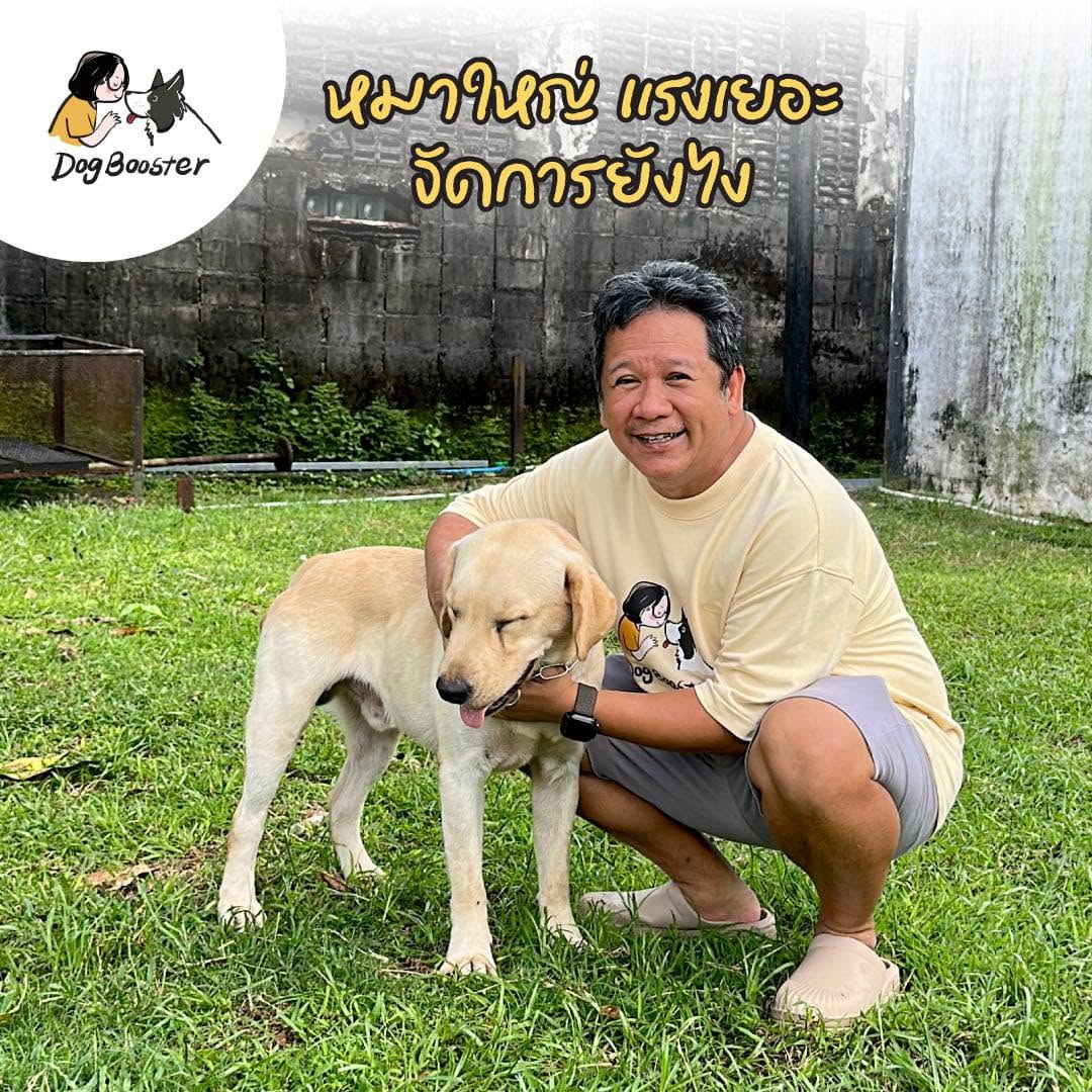 หมาตัวใหญ่แรงเยอะ