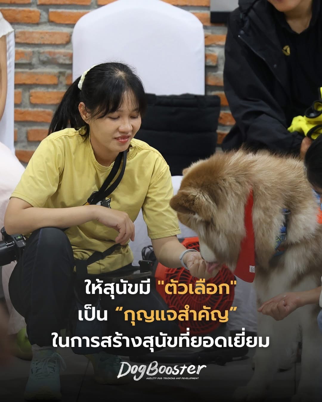 ItsYerChoice — การให้สุนัขมีตัวเลือก
