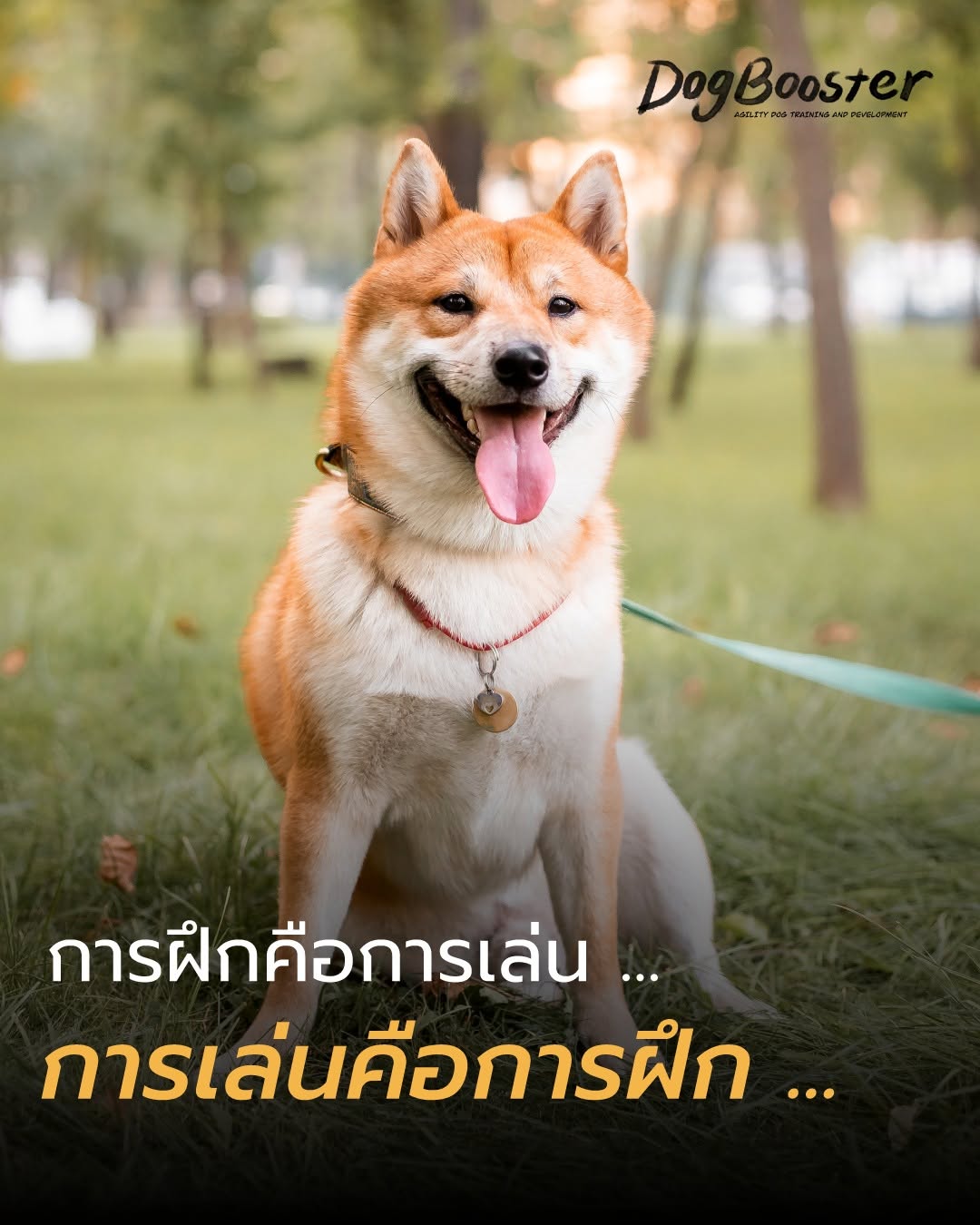 การเล่นคือการฝึก
