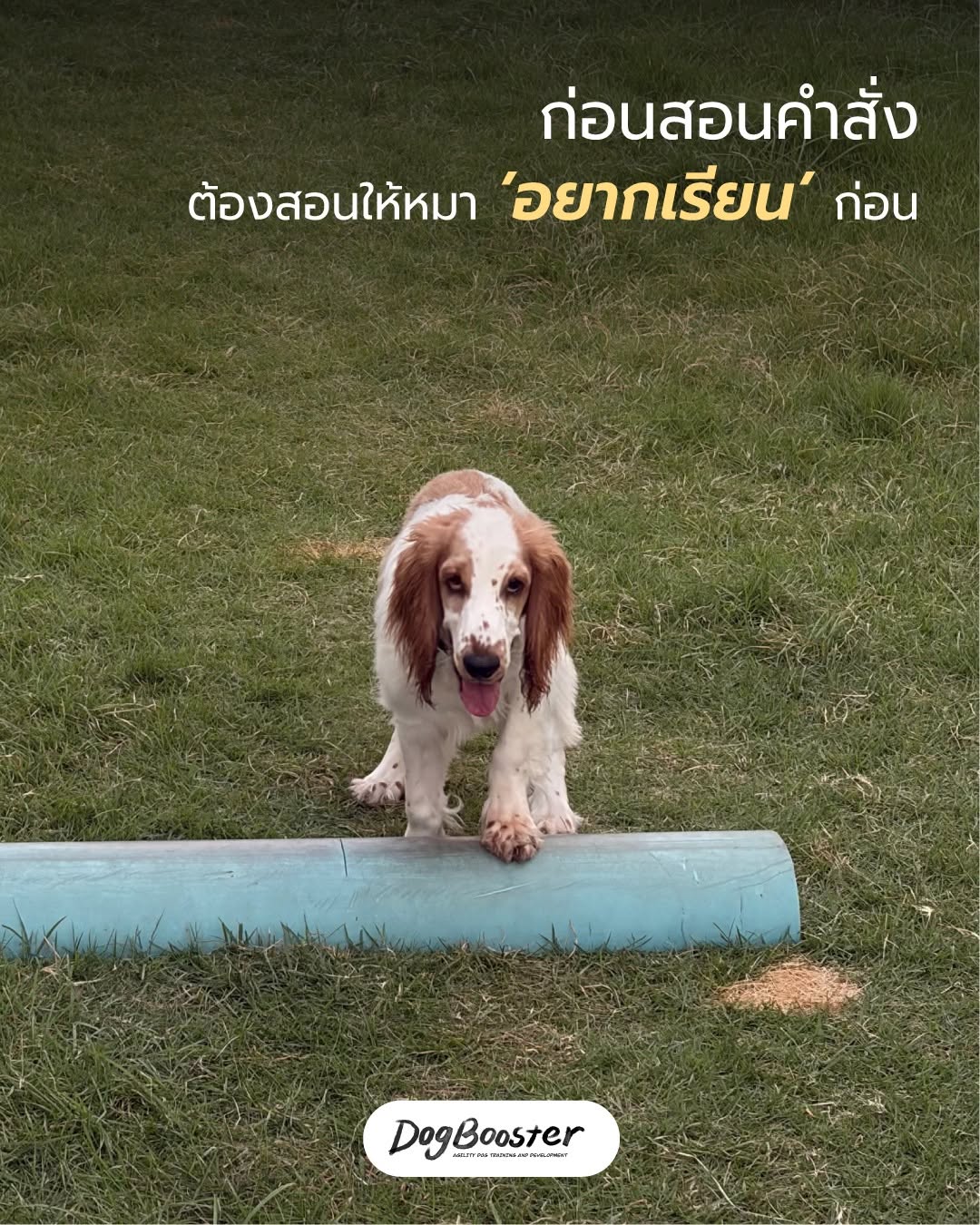 ก่อนสอนคำสั่ง ทำให้อยากเรียนก่อน