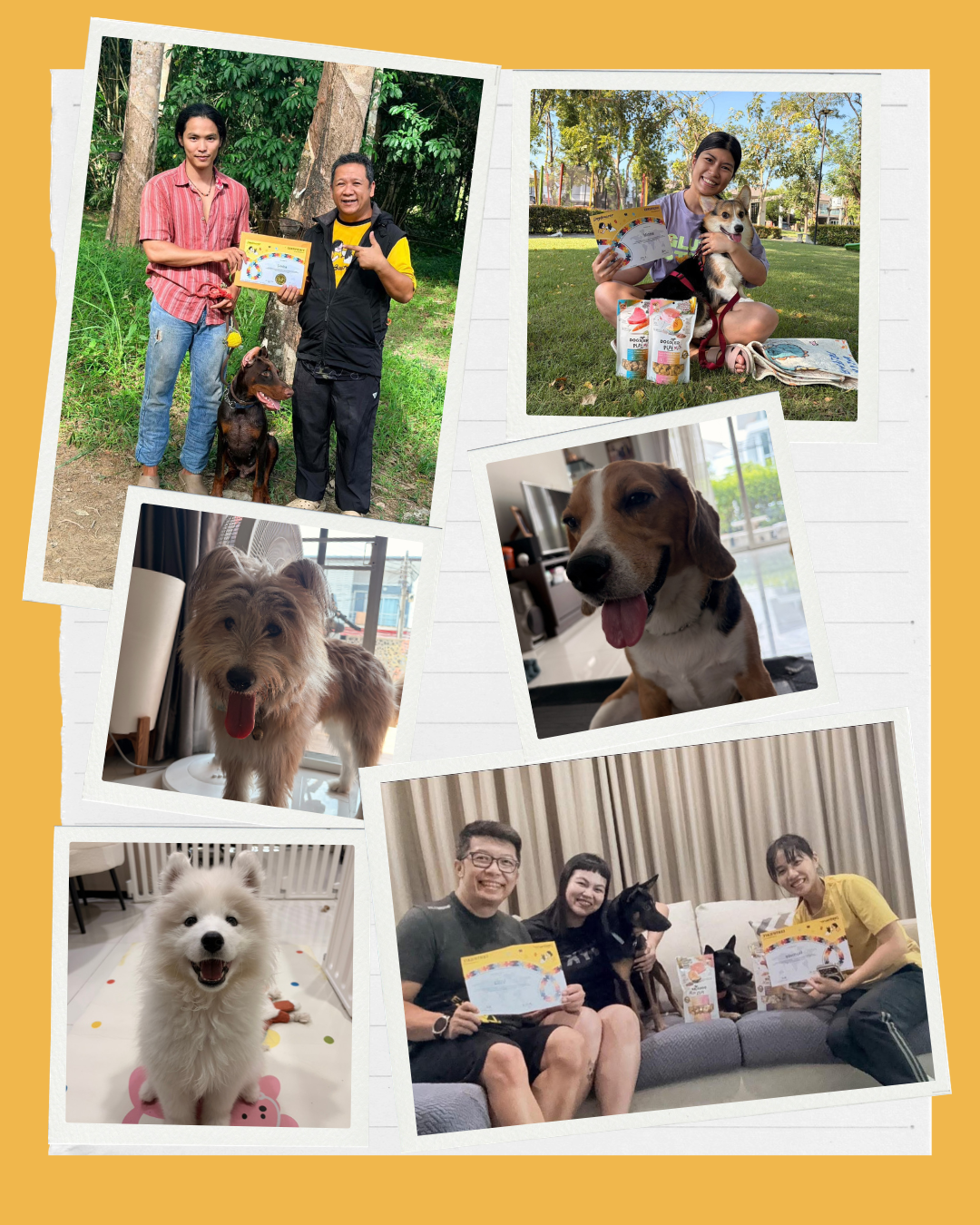 ฝึกส่วนตัวกับครูที่บ้าน